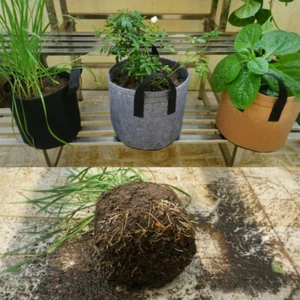 Non-woven Garden Plant Grow Bag Flower Pot Container 2/3/5/7/10 Gallon Grey - Picture 1 of 13