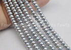 7-8/8-9mm Gray Akoya Freshwater Pearl Rondelle Abacus Loose Beads 15" Strand