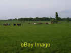Photo 6X4 Cattle At Bullock's Farm Hillside/Su7550 View North From The R C2006