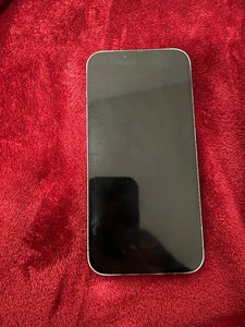 iPhone 13 Pro Max 1TB - Bild 1 von 4