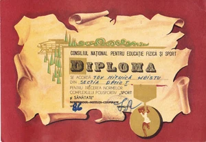 Romania, 1986, Communist Propaganda Diploma - C.N.E.F.S., RSR - Picture 1 of 1