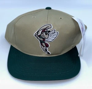 Vintage MiLB Outdoor Cap Savannah Sand Gnats Tan/Green Baseball Cap SnapBack Hat - Picture 1 of 6
