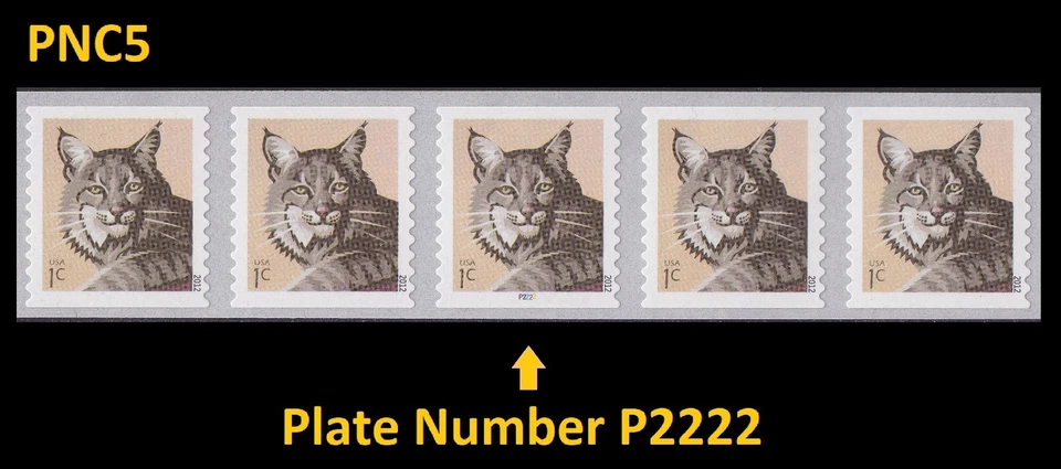 US 4672 Bobcat 1c PNC5 P2222 MNH 2012 - Image 1 of 1