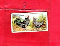 John Player & Sons Poultry Buy 2 & Save 1931 Complete Your Set 