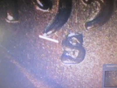 Lincoln Cent 1955-S S Over S RPM WEST GEM BU REMOLQUE Foto 1 de 3
