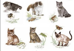 Decals - DC-0032 - Einbrenndekore für Keramik / Porzellan - 6 x Katzenkinder - Bild 1 von 1
