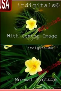 49mm CENTER IMAGE FOG SAND LENS FILTER For SLR DSLR 49 mm 49-CI - Picture 1 of 7