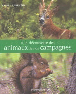 À La Discovery Of Animals of Our Campaigns - Regulator - Picture 1 of 1