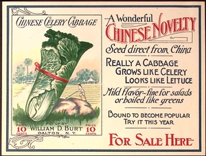 1910s William D Burt DALTON NY Chinese Celery Cabbage Label Paper Store Sign - Picture 1 of 3