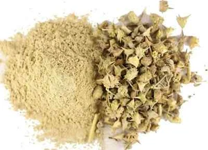 100 GM Gokhru Tribulus terrestris Small Caltrops Land Caltrops Hasak POWDER - Picture 1 of 2