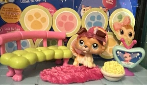 Littlest Pet Shop Collie Hund #58 braun hellbraun Collie Hund Pfote Up LPS Posten authentisch - Bild 1 von 4