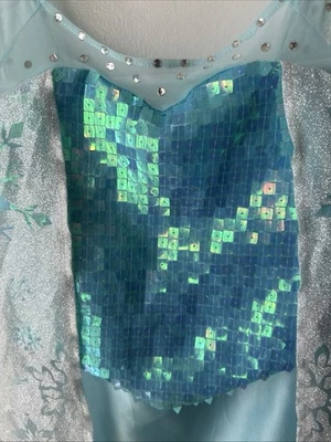 Disney Persiguiendo Luciérnagas Frozen Elsa Disfraz Vestido Niñas Talla 7-8 Foto 1 de 4