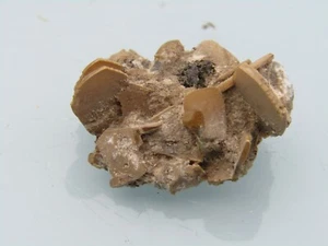 Wulfenita Mesicza (Mies) Eslovenia - Imagen 1 de 4