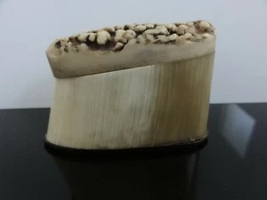 ANTIQUE ANTLER SNUFF BOX STEG DEER HORN - Picture 1 of 8