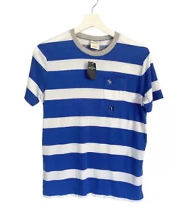 NWT Abercrombie & Fitch Stripe T-Shirt Blue Boys Size Large (14) - Picture 1 of 3