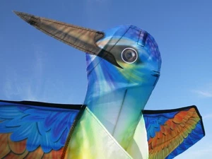 Flugdrachen Einleiner Drachen Eisvogel - Bild 1 von 5