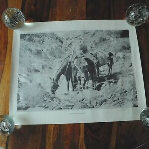 VINTAGE 1979 ROBERT SHOOFLY SHUFELT SIGNED LITHOGRAPH " A DRINK FROM DIAMOND 2" 