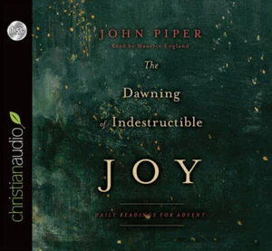 The Dawning Of Indestructible Joy CD - Bild 1 von 1