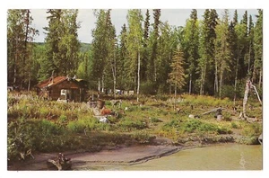 Carte postale postale carte postale Alaska HOMESTEADER'S CABIN rivière Tanana près de Fairbanks - Photo 1/2
