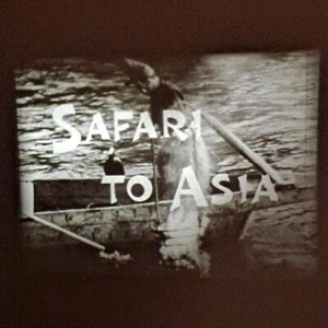 Super 8mm - Safari To Asia - Armand & Michaela Denis - Sound - 2 x 400ft - Foto 1 di 24