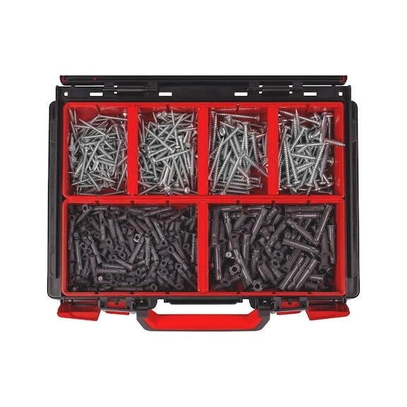 Tasselli e Viti Universali da 6 e da 8 Set 600pz - WÜRTH 0964906098 - Immagine 1 di 4