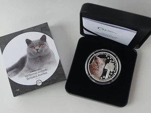 TSCHECHIEN SILBER MÜNZE COIN PP PROOF 2024 - KATZEN-RASSEN - BRITISCH KURZHAAR - - Bild 1 von 8