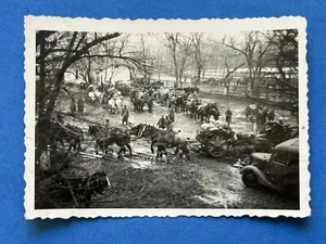 Foto, WK2, Rückzug aus dem Kaukasus 1943 XT55189 - Bild 1 von 2