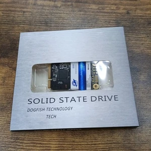 Unidad interna de estado sólido Dogfish Msata 256 GB Mini disco SSD Sata - Imagen 1 de 3