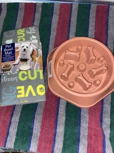 Slow Feed Pet Bowl and Mat - Picture 1 of 4