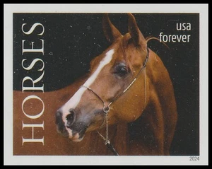 US 5894a Horses Brown with Bridle Facing Left imperf NDC single MNH 2024 - Picture 1 of 1