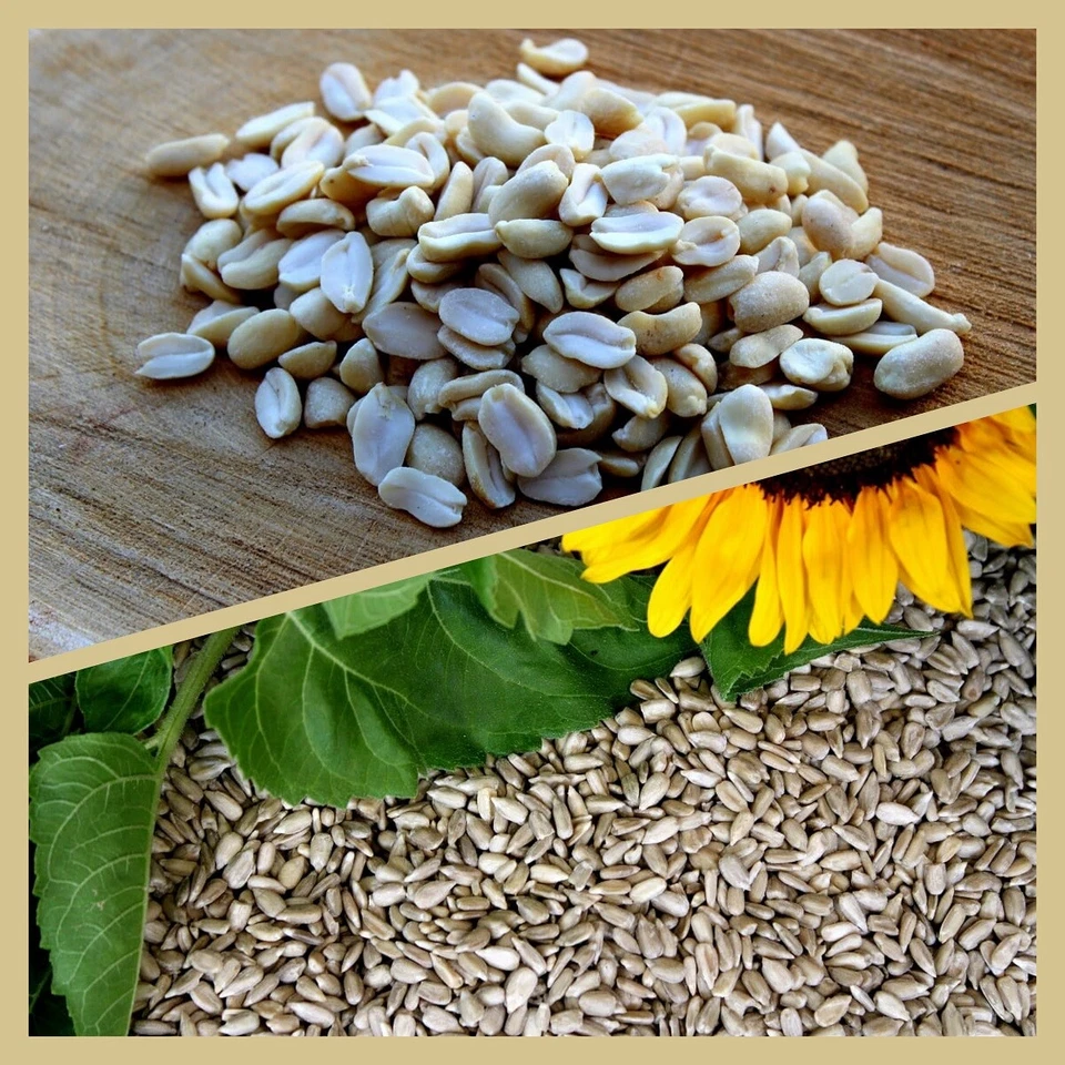 Futterbauer Vogelfutter Kombi 10 kg geschälte Sonnenbl+10 kg Erdnüsse blanchiert - Bild 1 von 1