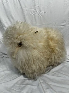 Vintage 100% Reine Wolle Fleece Schaf Stofftier Plüsch Patmark 1988 - Bild 1 von 9