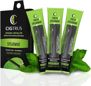 Craving Relief Inhaler (3-Piece) - Natural Quit Smoking Substitute, Nicotine & T - Picture 1 of 12