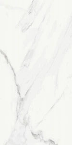 Naos Blanco 12 in. x 24 in. Porcelain Floor and Wall Tile (CUT PIECE SAMPLE) - Picture 1 of 2