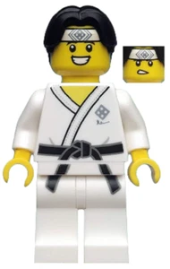 NEW CMF Lego Martial Arts Boy Minifigure col367 71027 Series 20 - Picture 1 of 1