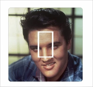 Calcomanía de cubierta de vinilo Elvis: interruptor de luz - 135 - Imagen 1 de 2