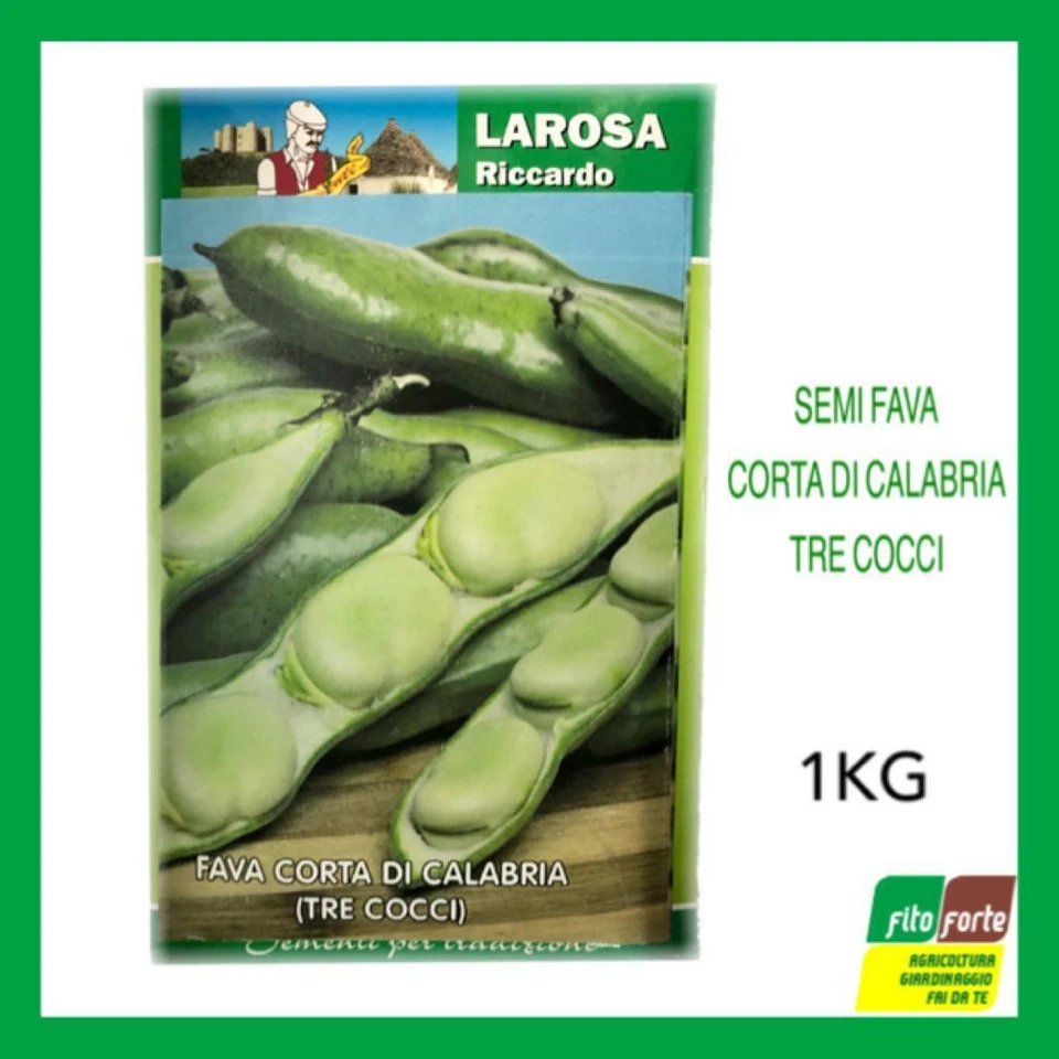 SEMI FAVA CORTA DI CALABRIA TRE COCCI RICCARDO LA ROSA 1KG SEMENTI ORTO - Immagine 1 di 1