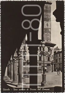 VITERBO - UNO SCORCIO DI PIAZZA DEL COMUNE 1955 - Picture 1 of 1