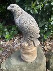 Eagle Bird Statue Ornament Animal Concrete Garden Australian Made