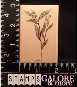 Stampin' Up! SELLOS DE GOMA PASEO POR LA NATURALEZA FLORES SILVESTRES BOTÁNICAS #15 - Imagen 1 de 2