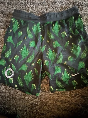 Pantalones Cortos Nike Nigeria Federación Nacional de Fútbol Alumnos Fútbol Hombres’Meduim Foto 1 de 4