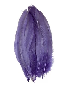 40 piezas FUNDA DE GALLO plumas 6-10 pulgadas - AMATISTA (Recorte/Disfraz/Halloween) - Imagen 1 de 1