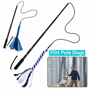 Dog Cat Toy Pet Play Interactive Flirt Pole Wand Retractable Training Exercise# - Picture 1 of 17