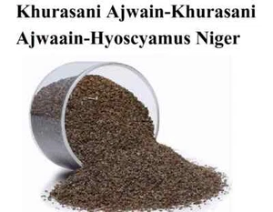 100% Pure Khurasani Ajwain-Khurasani Ajwaain Hyoscyamus Niger Free Ship - Picture 1 of 4