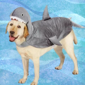 Costume Halloween cane squalo cane animale domestico casual XS S M L XL - Foto 1 di 7