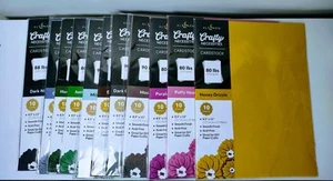 Altenew Craft Necessities Cardstock Scrapbooking Bulk Lot-11 Packages/110 Sheets - Picture 1 of 13