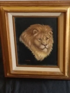 Lion Oil Painting - Picture 1 of 2