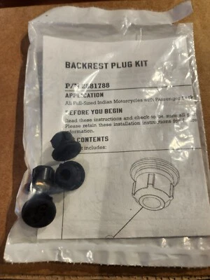 Enchufe respaldo pasajero motocicleta Indian negro parte # 2881788 ¡ENVÍO GRATUITO! Foto 1 de 2