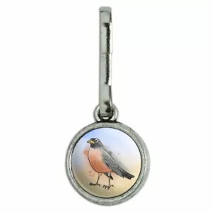 Rotkehlchen Aquarell Nordöstlicher Vogel Charm Reißverschluss Ziehhilfe - Bild 1 von 4