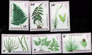 ASCENSION ISLAND FLORA, PLANTS, NATURE MNH REDUCED 0.50C - Picture 1 of 1